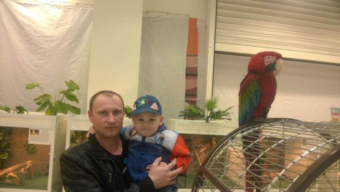 Медведев Александр Федорович Медведев Александр Федорович